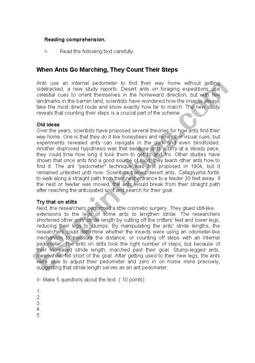 reading comprehension worksheet