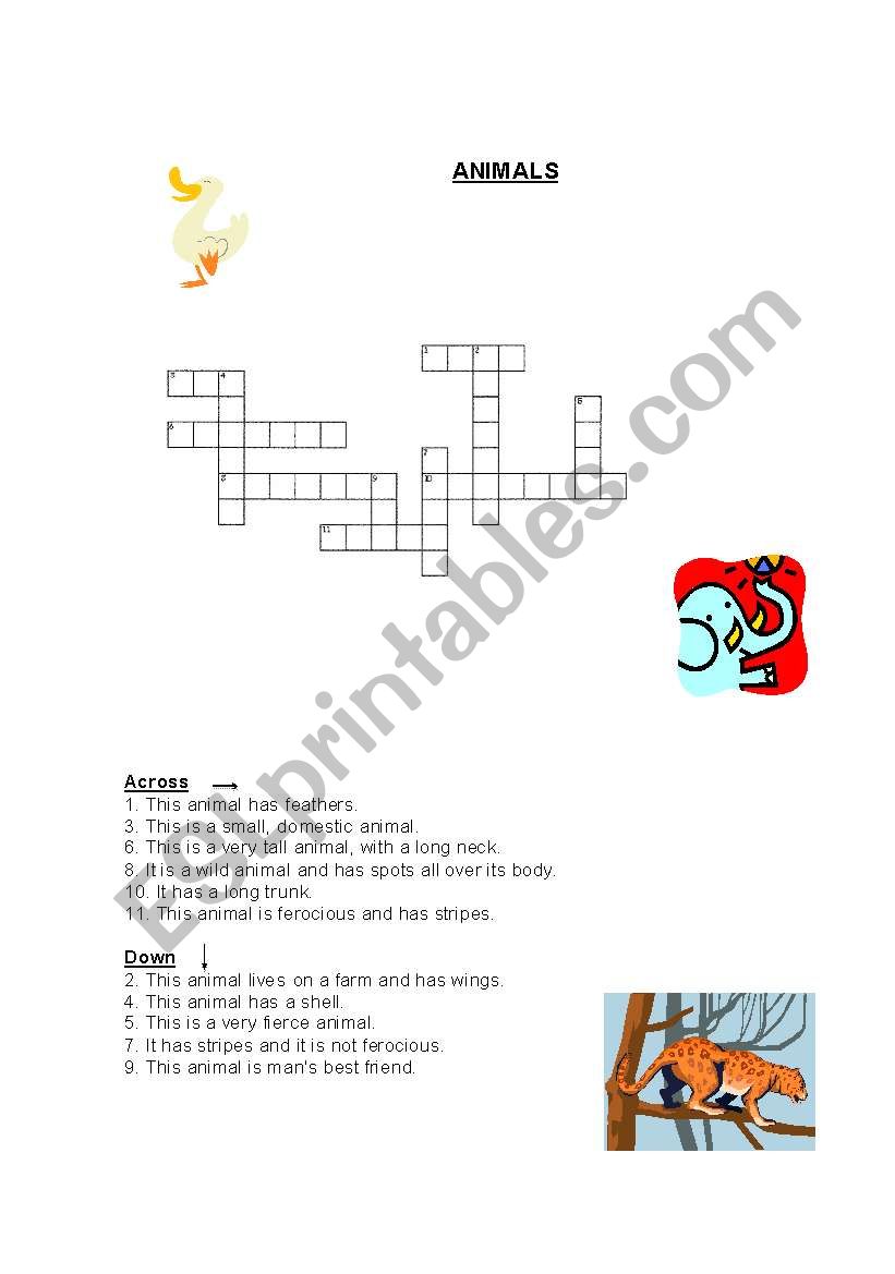 Animals worksheet