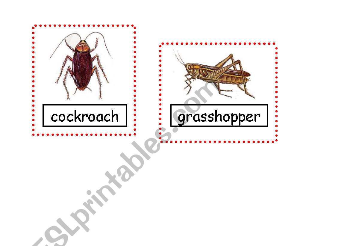 Creepy Crawlies Flashcard worksheet