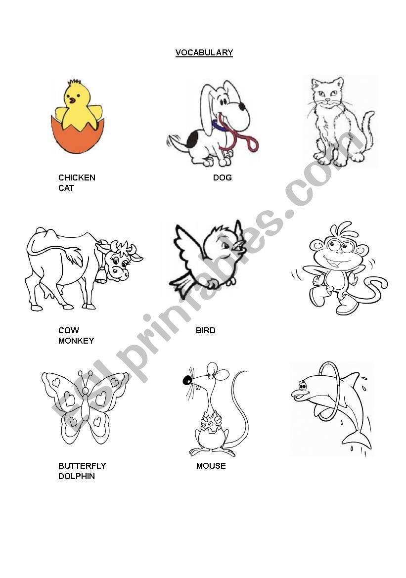 animal worksheet