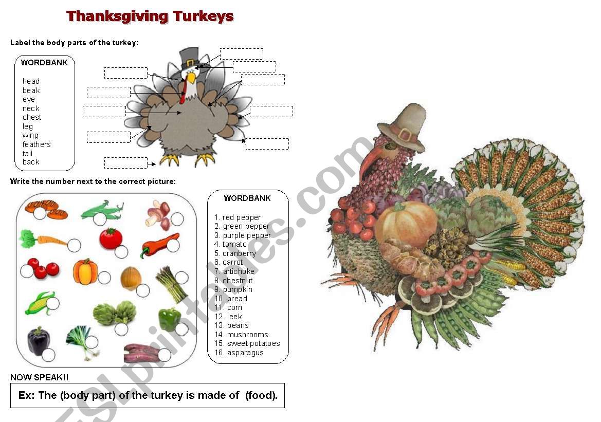 thanksgiving: turkey body parts and food