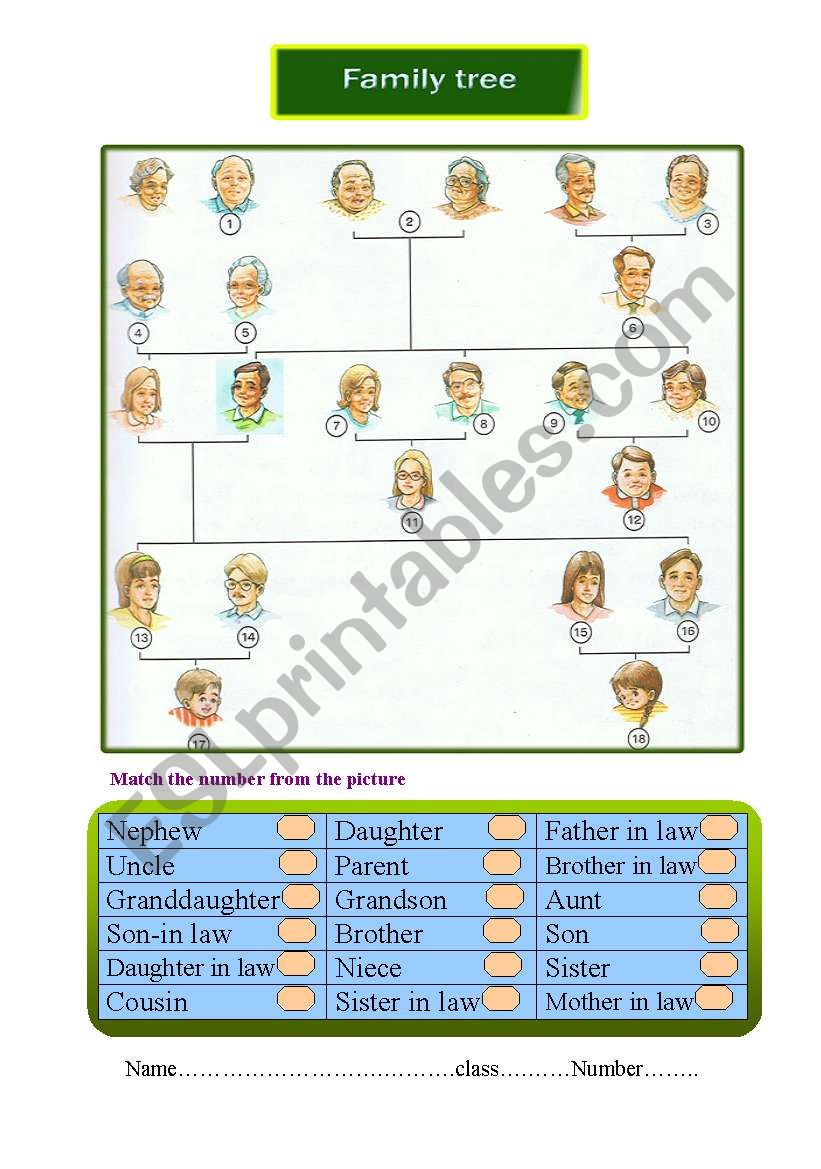 family worksheet