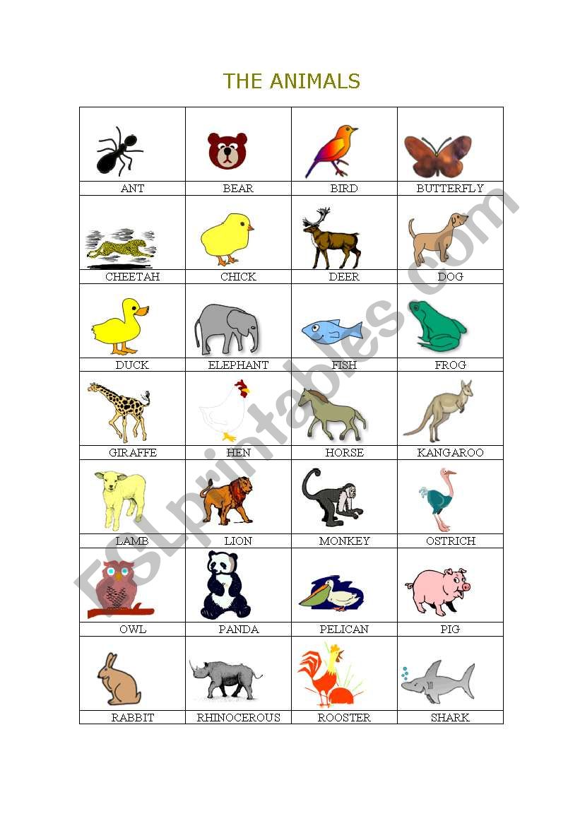 THE ANIMALS worksheet