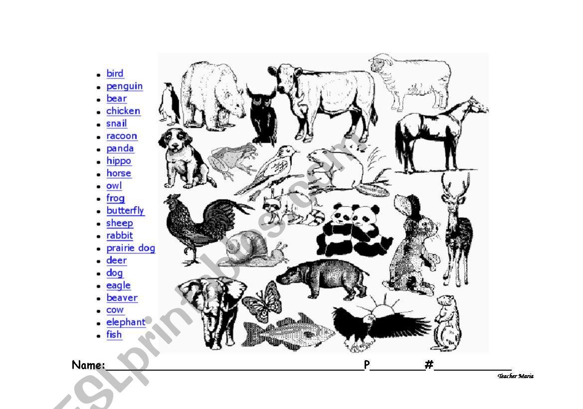 animals worksheet