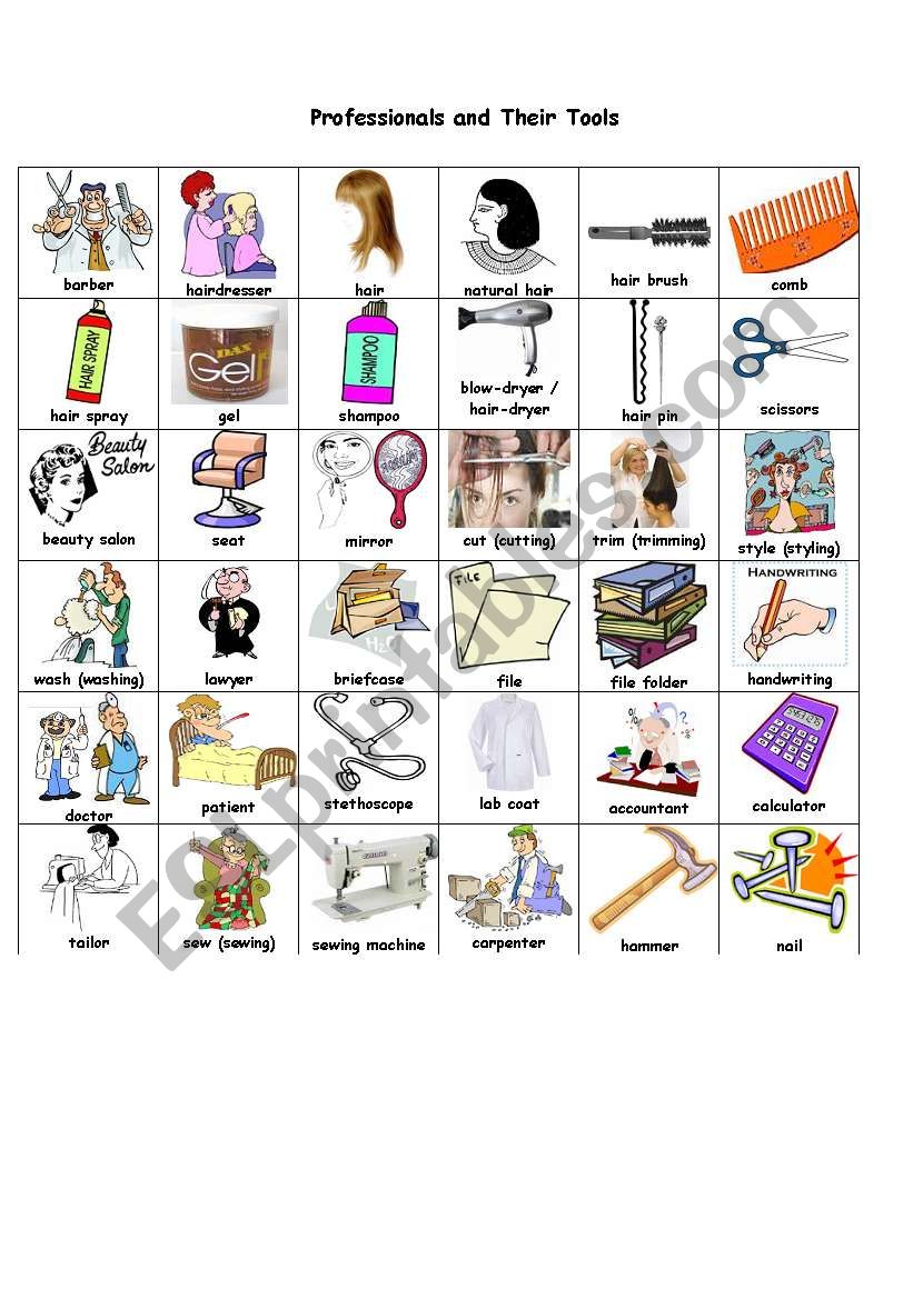 Professionals and Their Tools worksheet