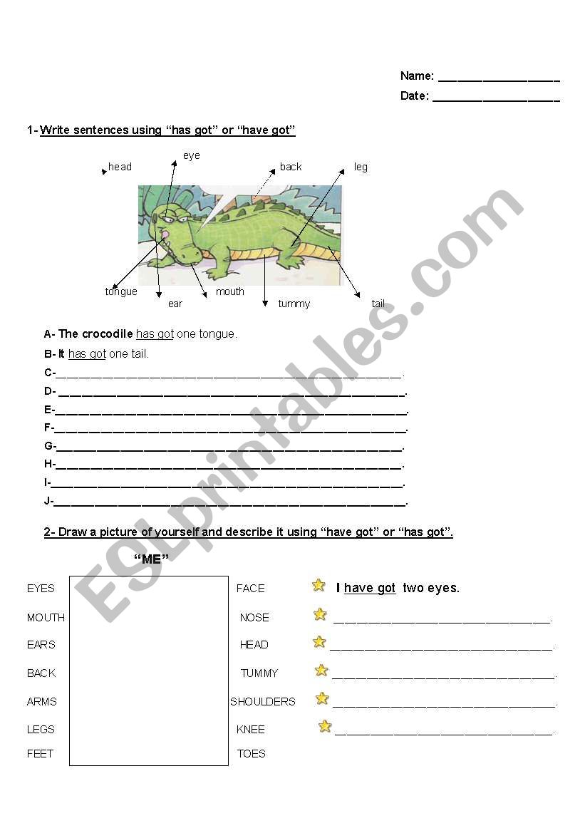 body descriptions  worksheet