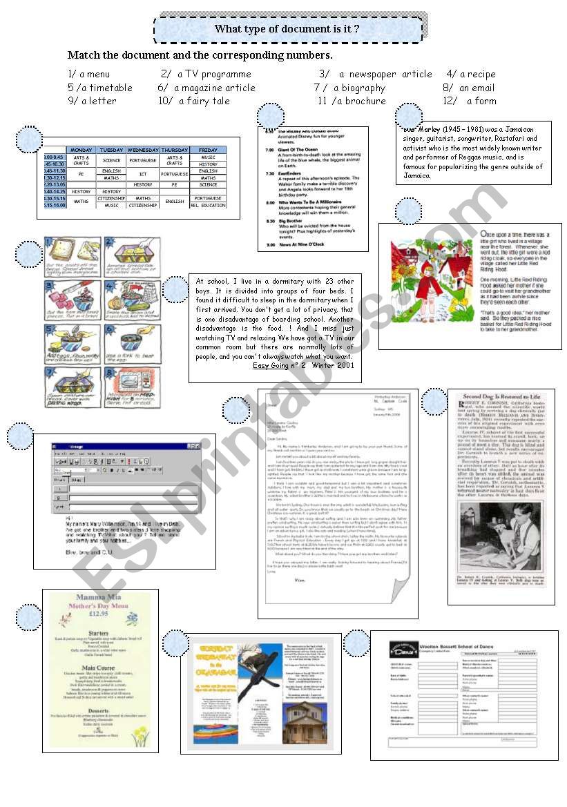 Reading strategies: types of document