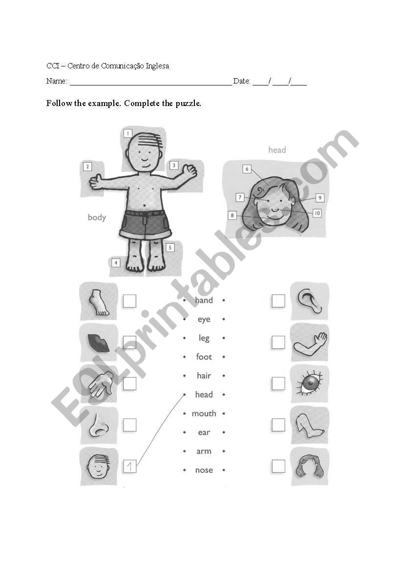 body worksheet