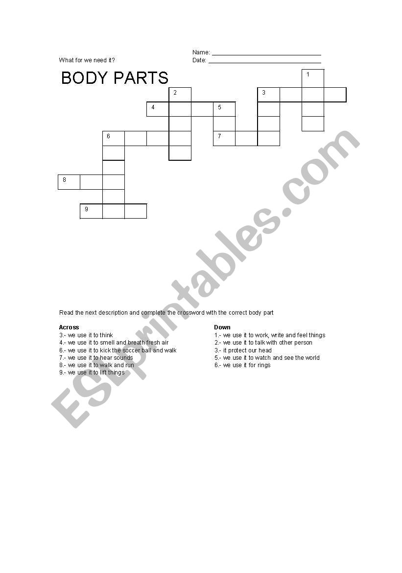 BODY  PARTS worksheet