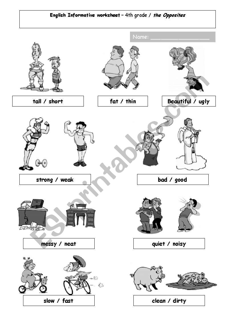 Opposites Flashcard worksheet worksheet