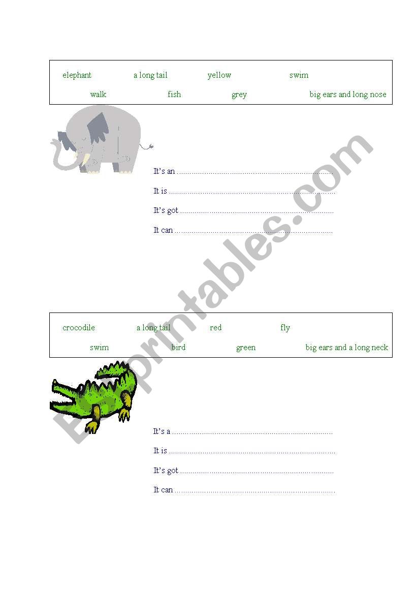 Describing animals worksheet