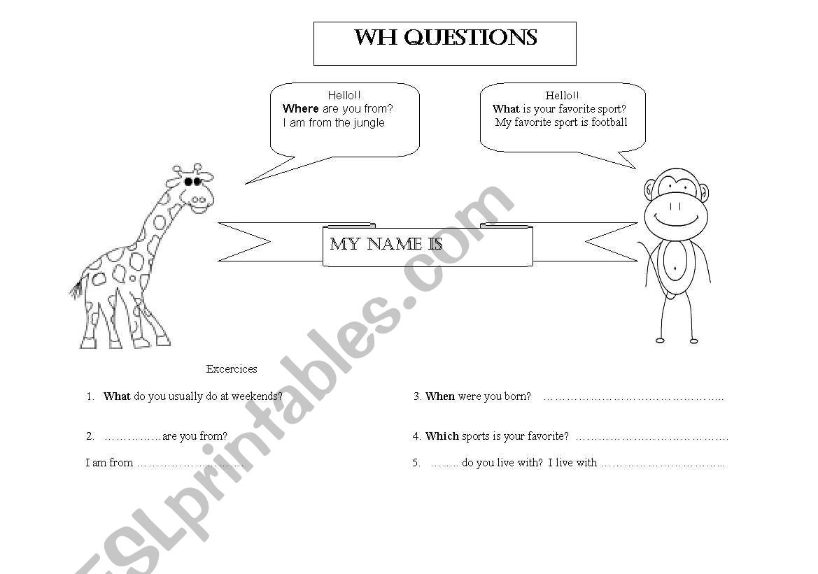 wh questions worksheet