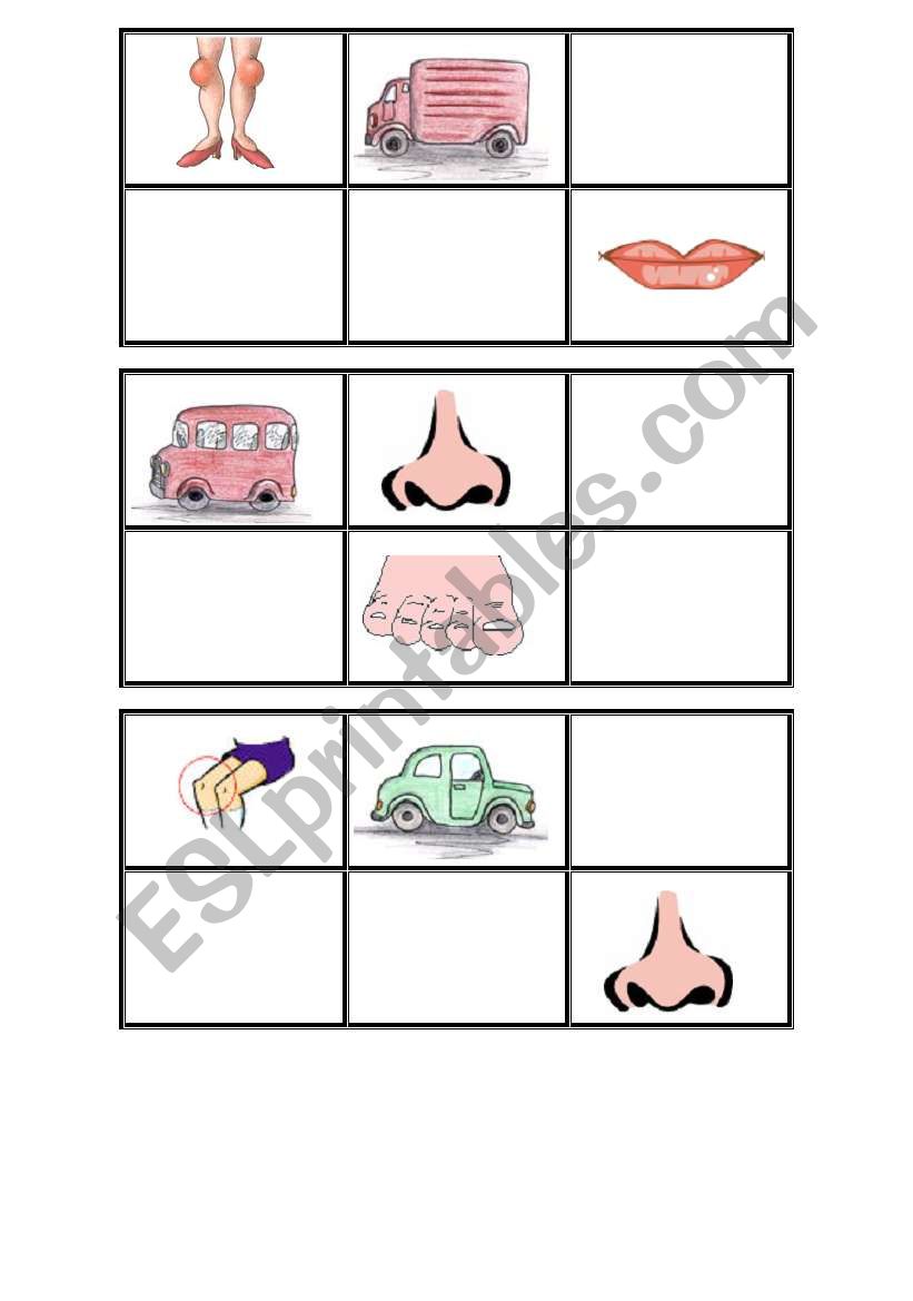 Bingo - transport and body (preschool)