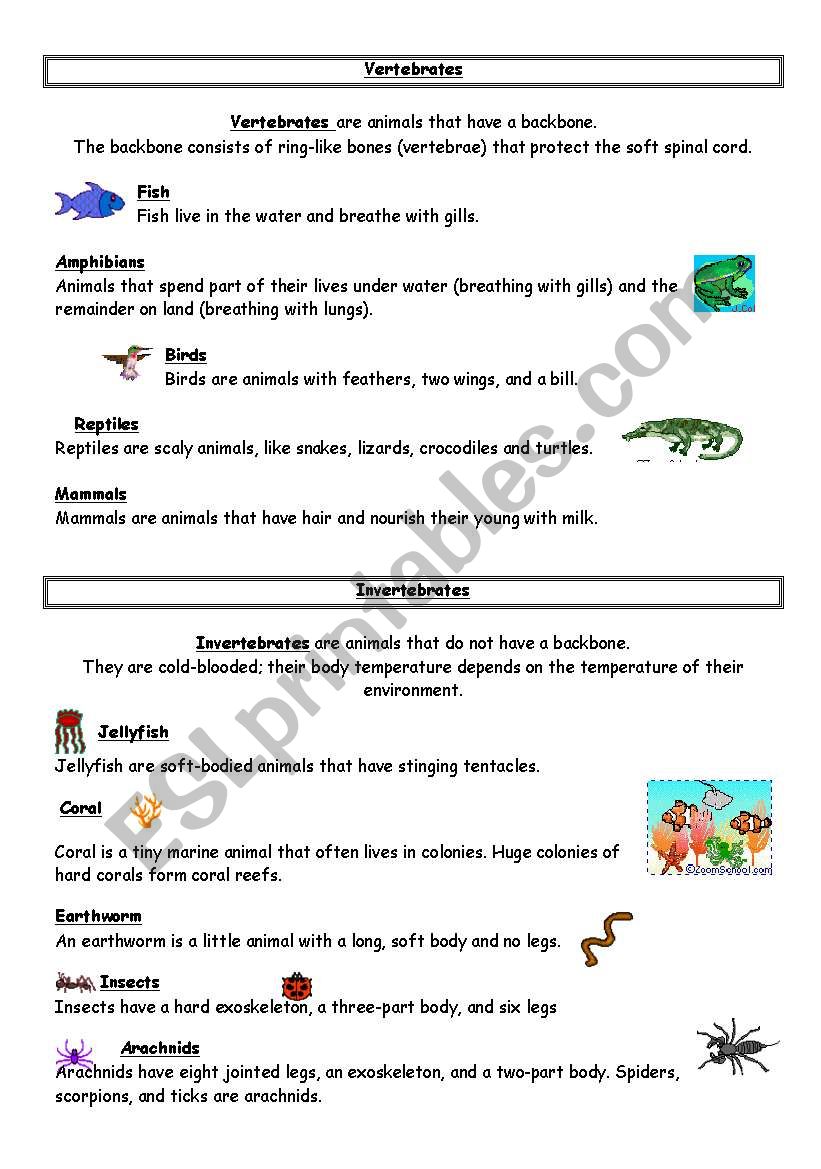 vertebrates / invertebrates worksheet