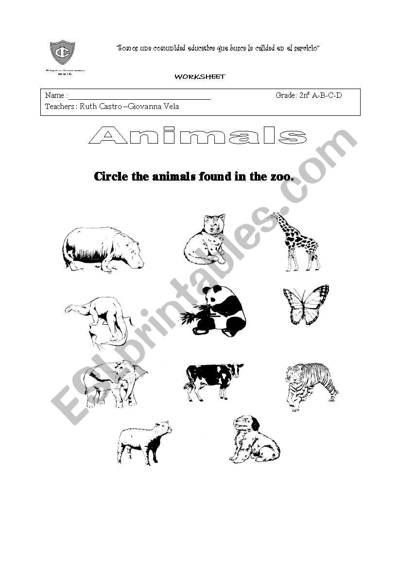 Zoo Animals worksheet