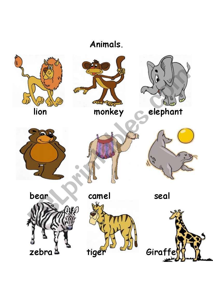 Animals worksheet