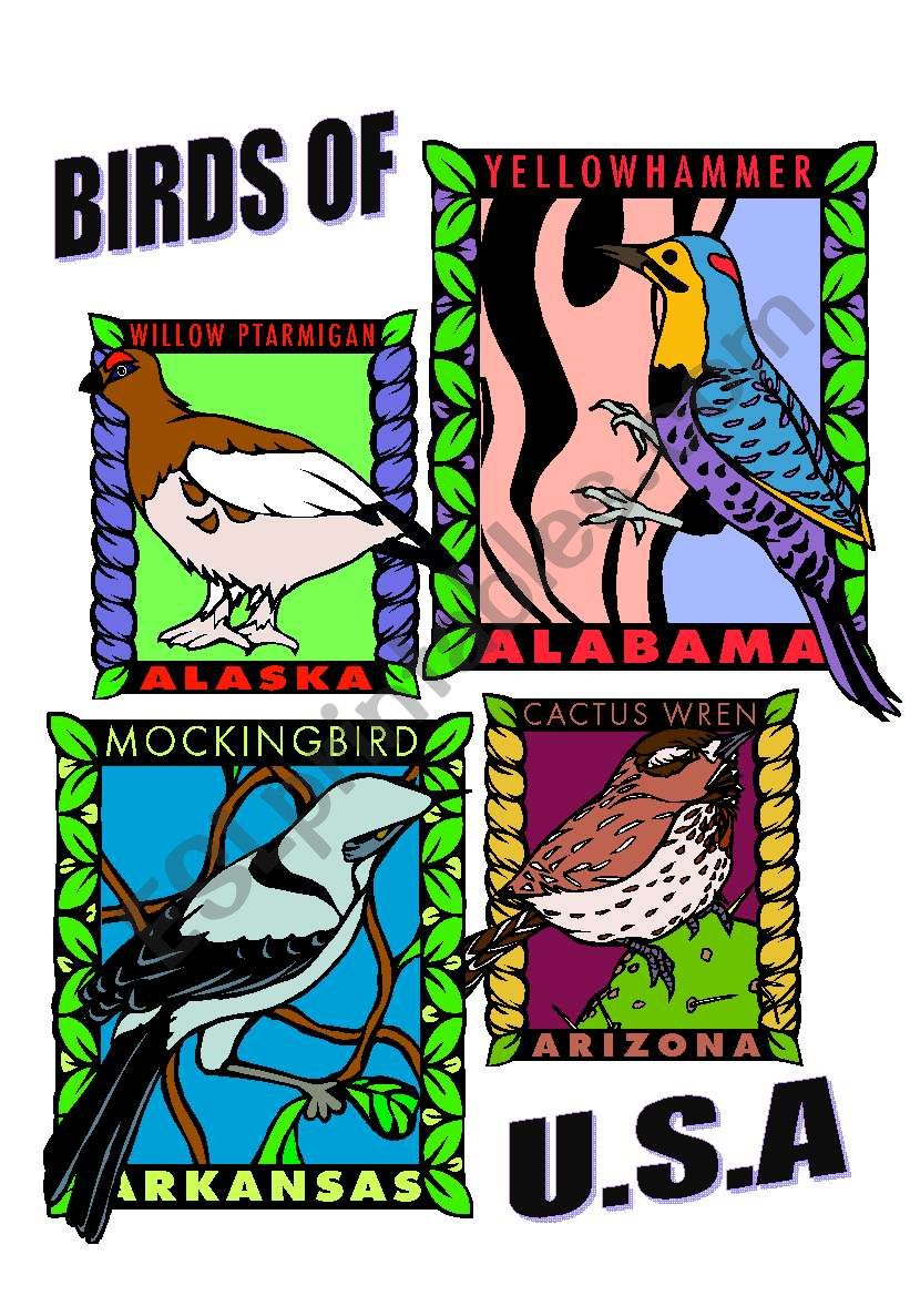 BIRDS OF U.S.A. ONE. worksheet