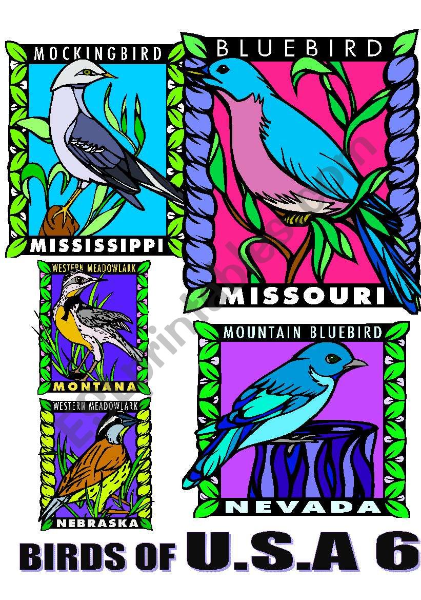 BIRDS OF U.S.A. SIX. worksheet