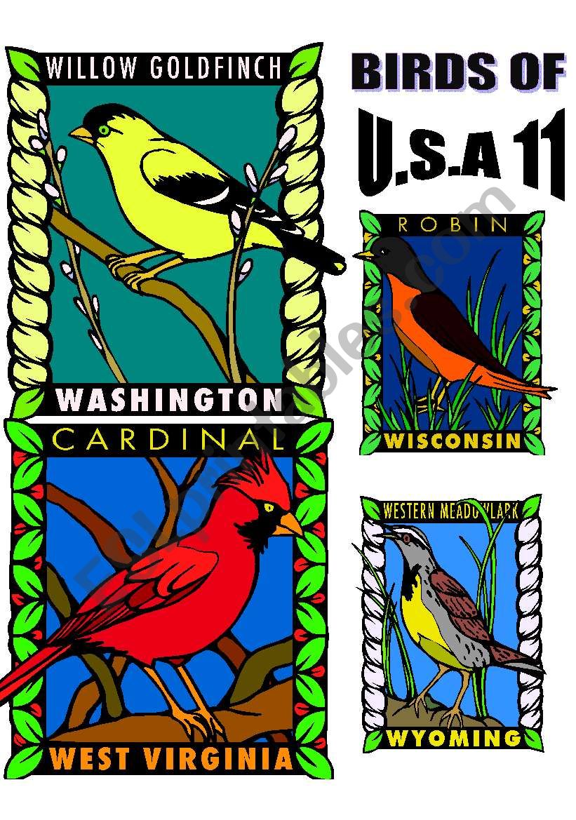 BIRDS OF U.S.A. ELEVEN. worksheet