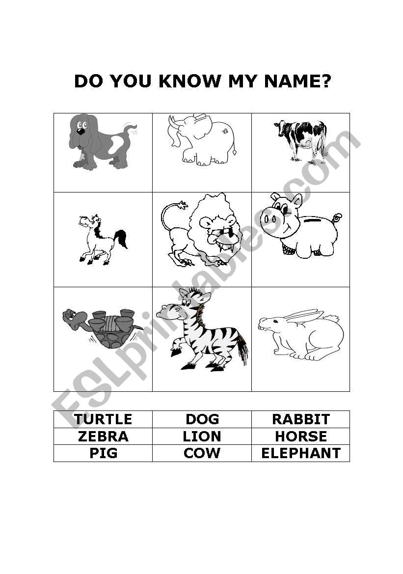 animals worksheet