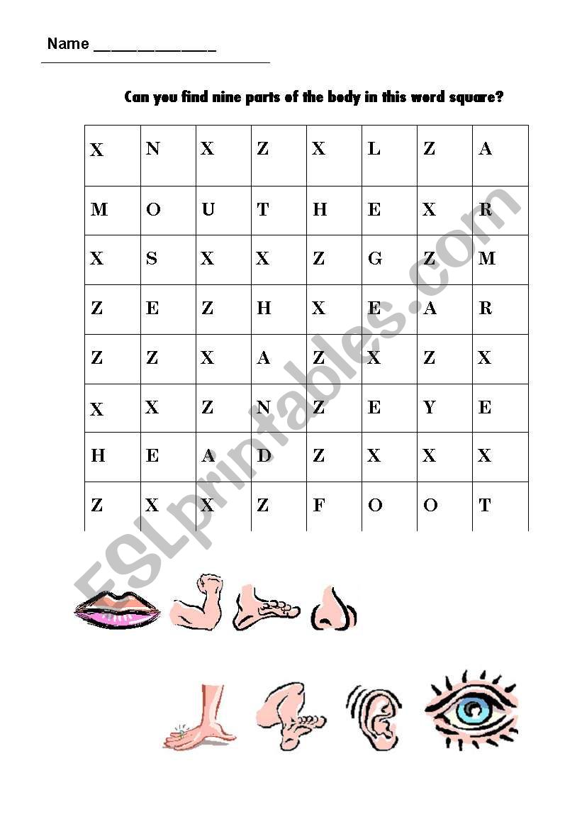 wordsearch body worksheet