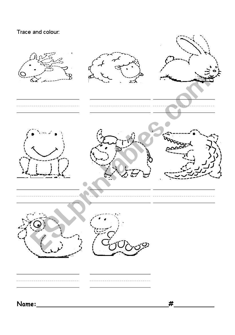 identify the animals worksheet