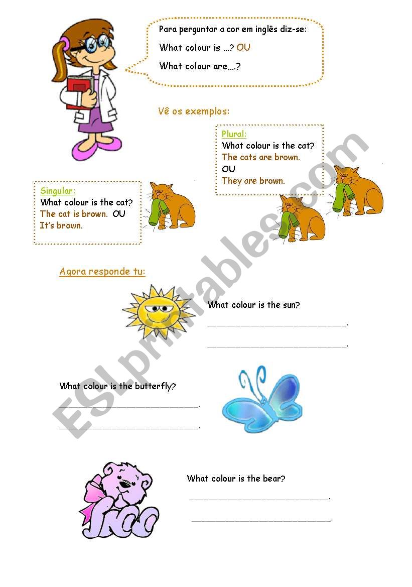 Exercises: Asking questions  worksheet