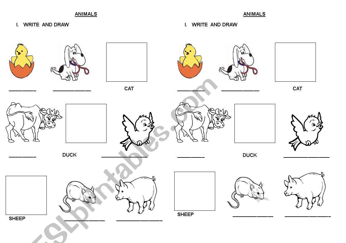 PRACTICE ANIMAL worksheet