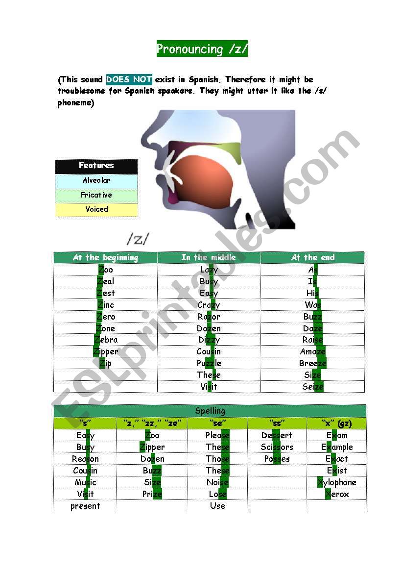 Pronouncing /Z/ worksheet