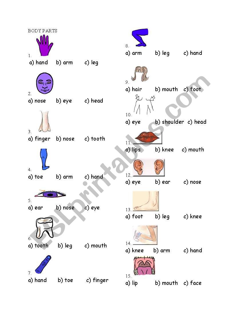 body parts  worksheet