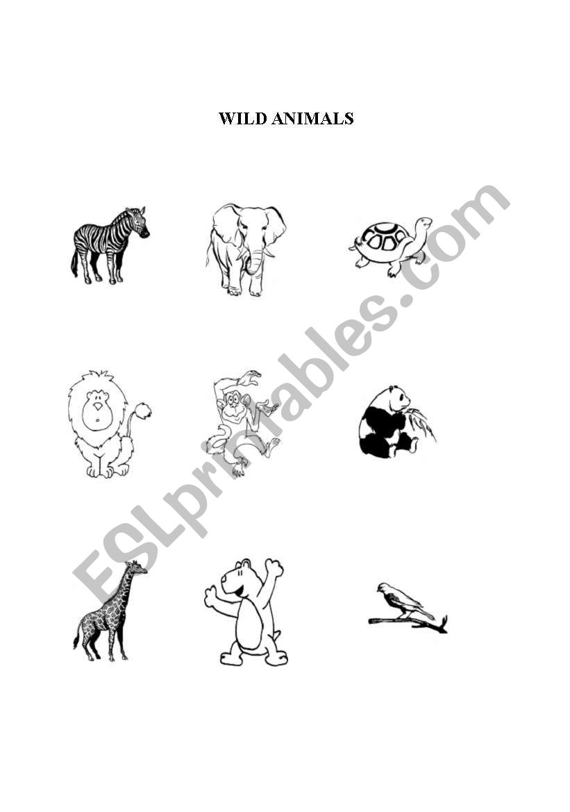 Wild Animals worksheet