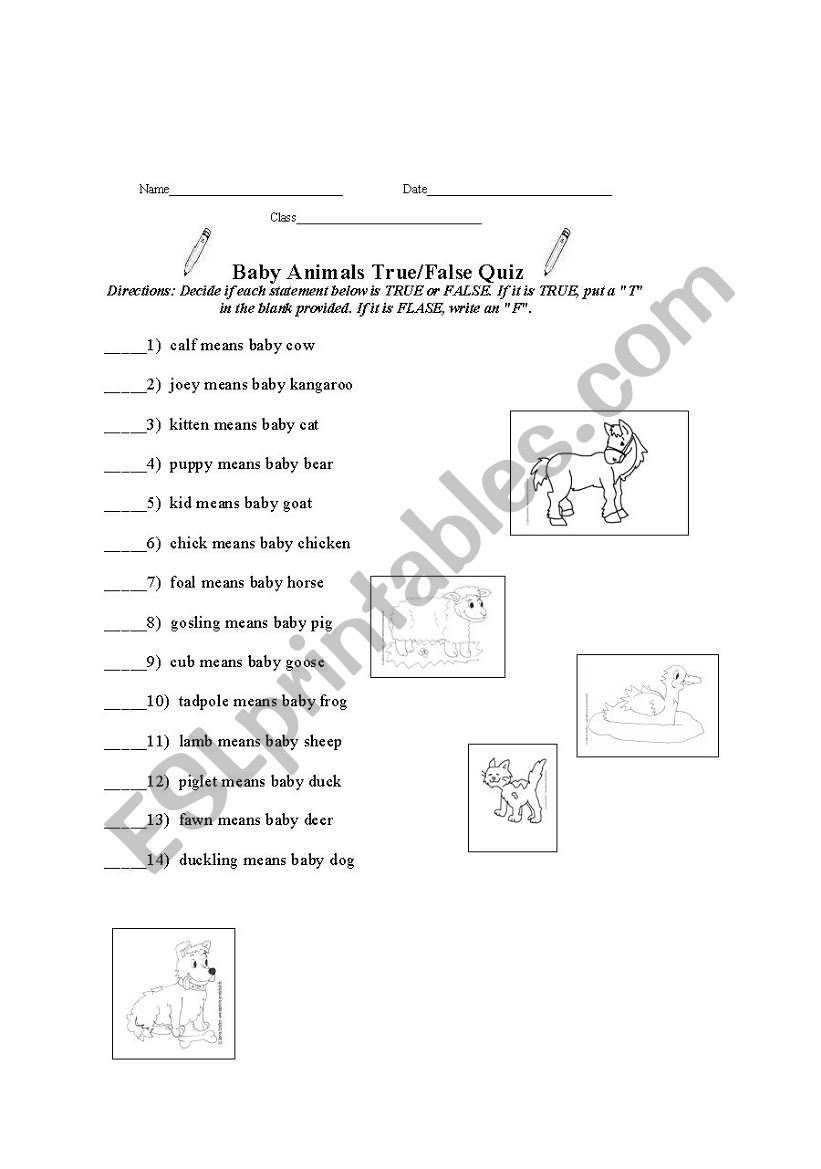 Baby Animals True/False Quiz worksheet