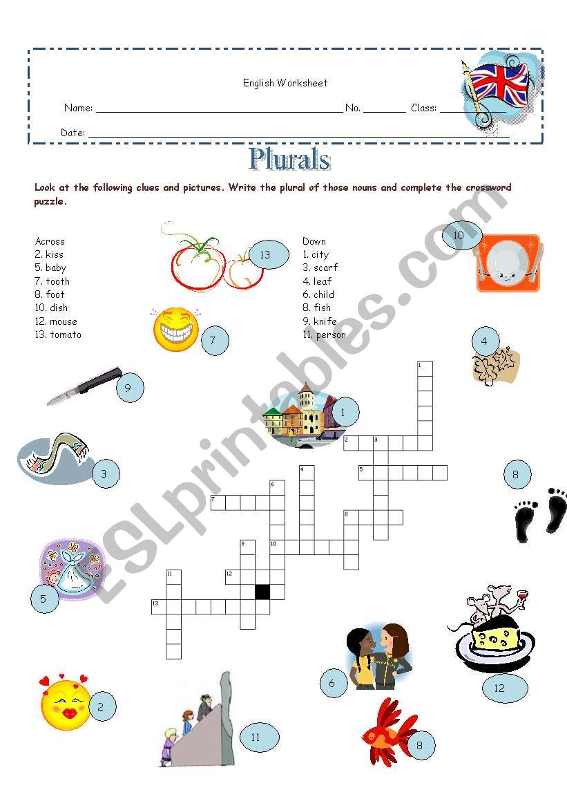 Plurals worksheet