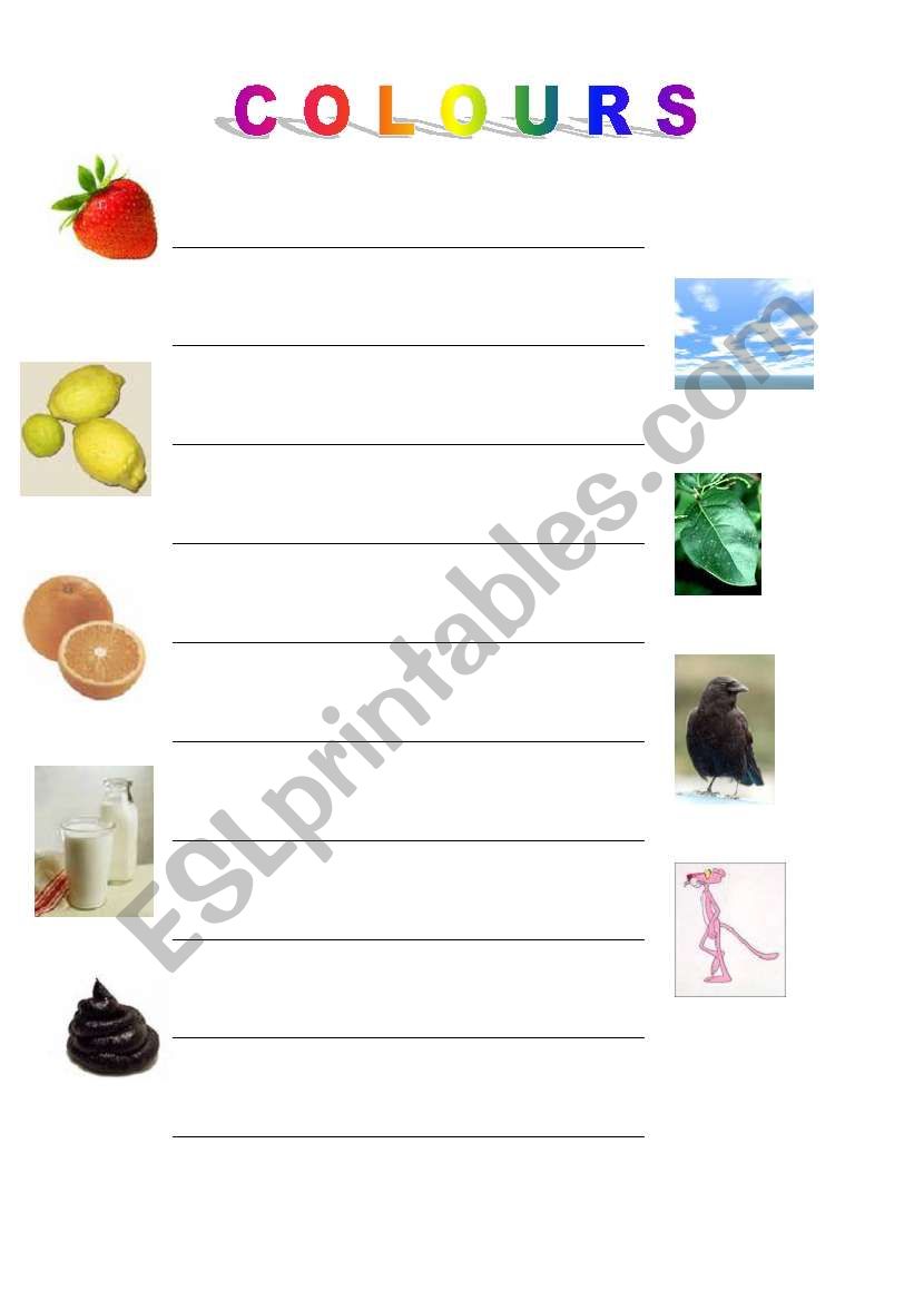 colours worksheet