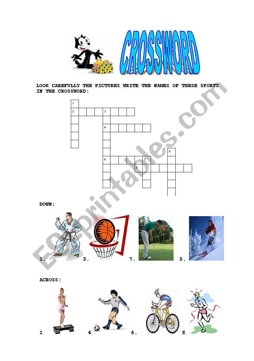 sports worksheet