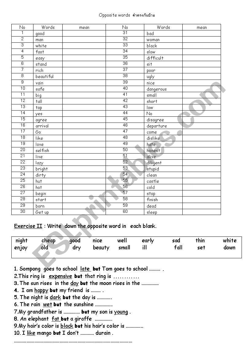 Opposite word worksheet