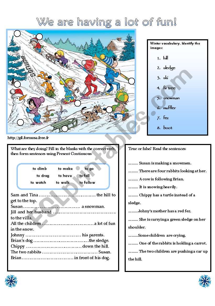 WE ARE HAVING A LOT OF FUN! worksheet