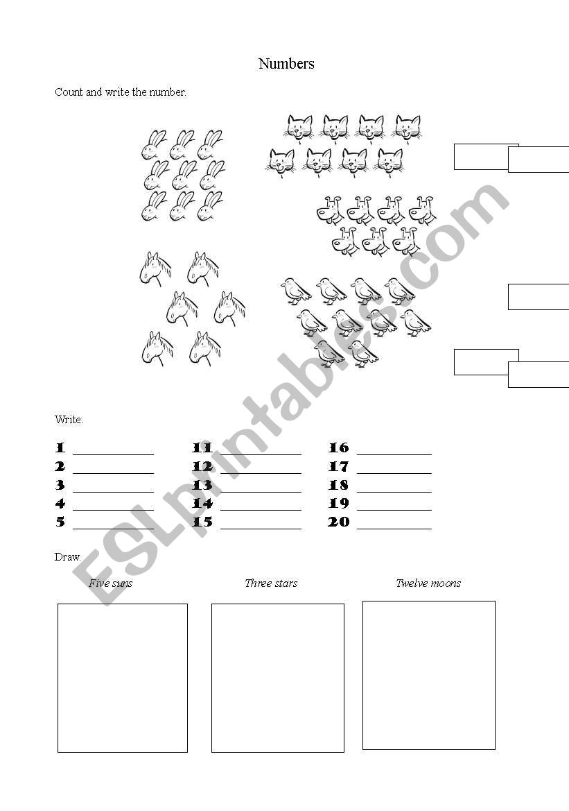 numbers worksheet