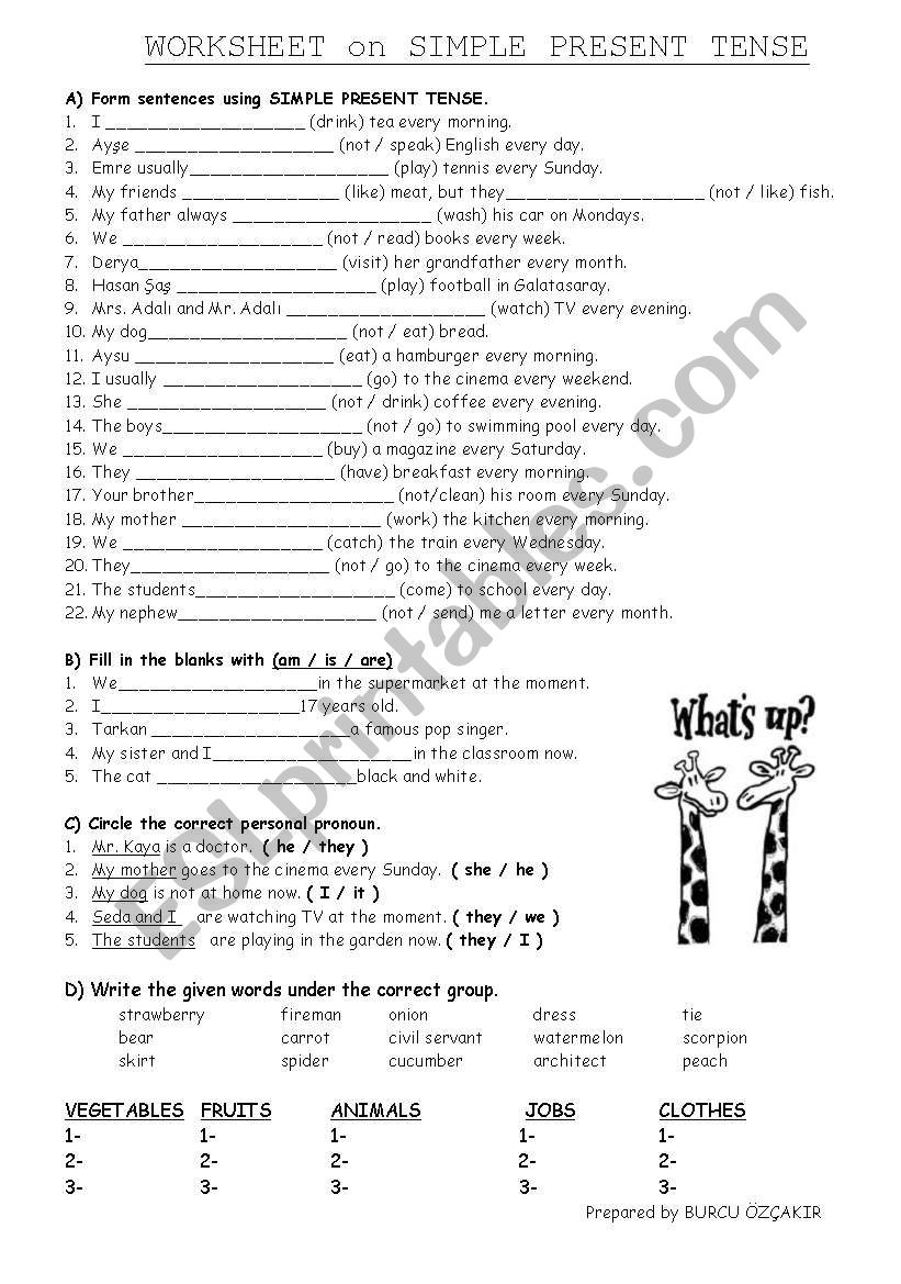 SIMPLE PRESENT TENSE worksheet