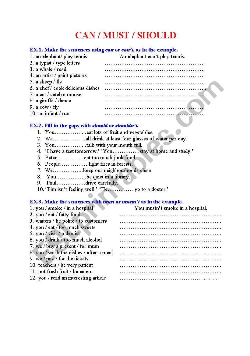 CAN / SHOULD / MUST - exercises on modal verbs