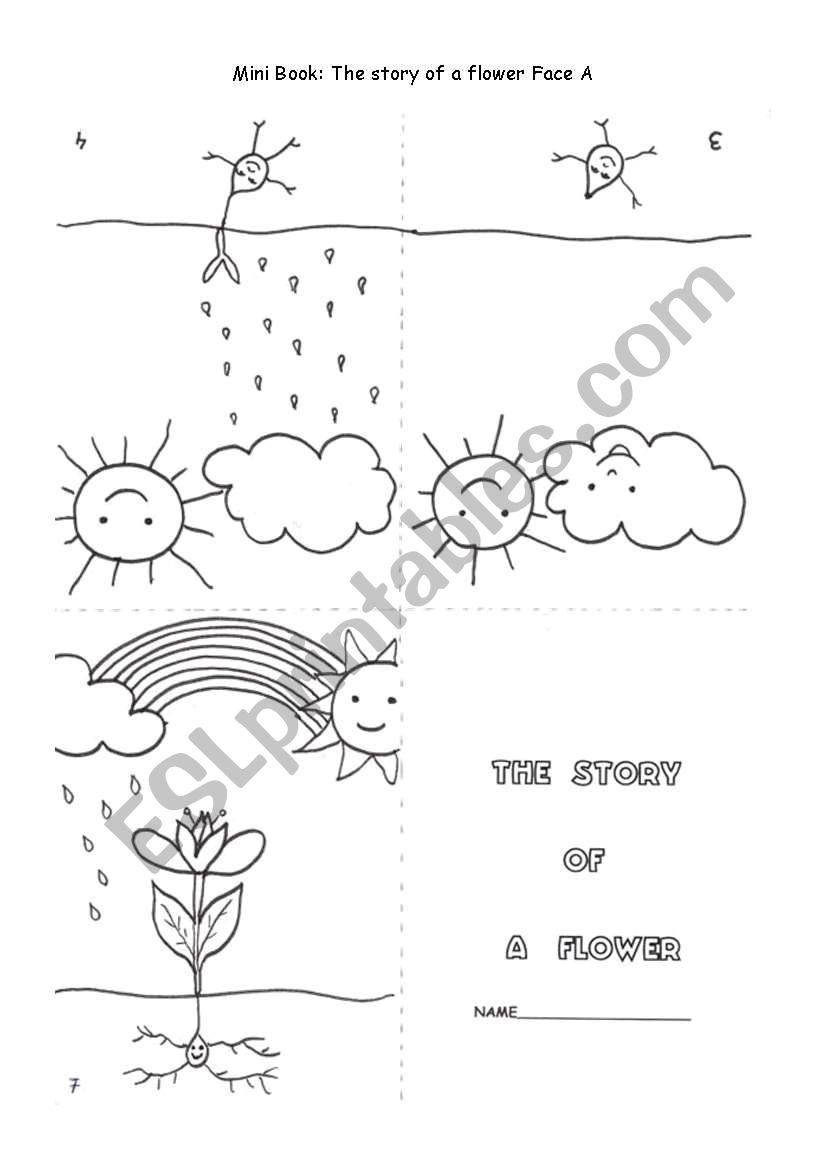 Mini book:The story of a flower