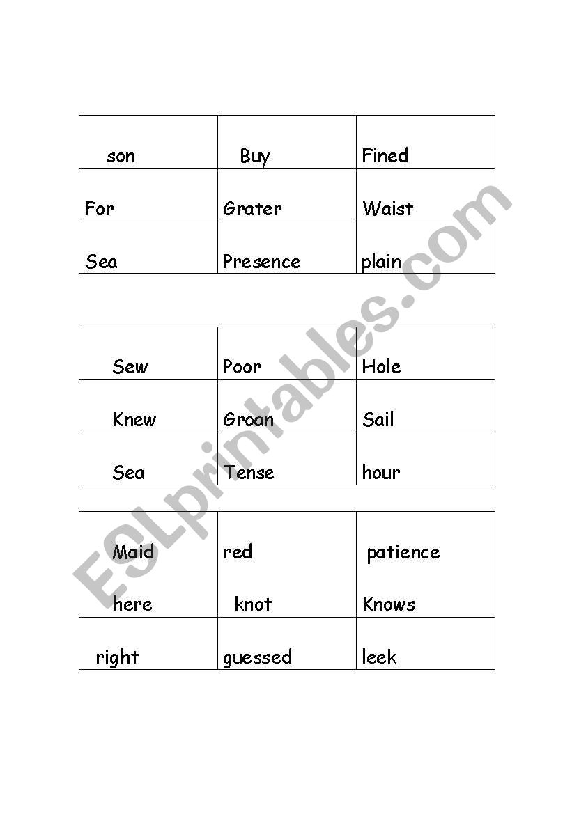 Homonym Bingo worksheet