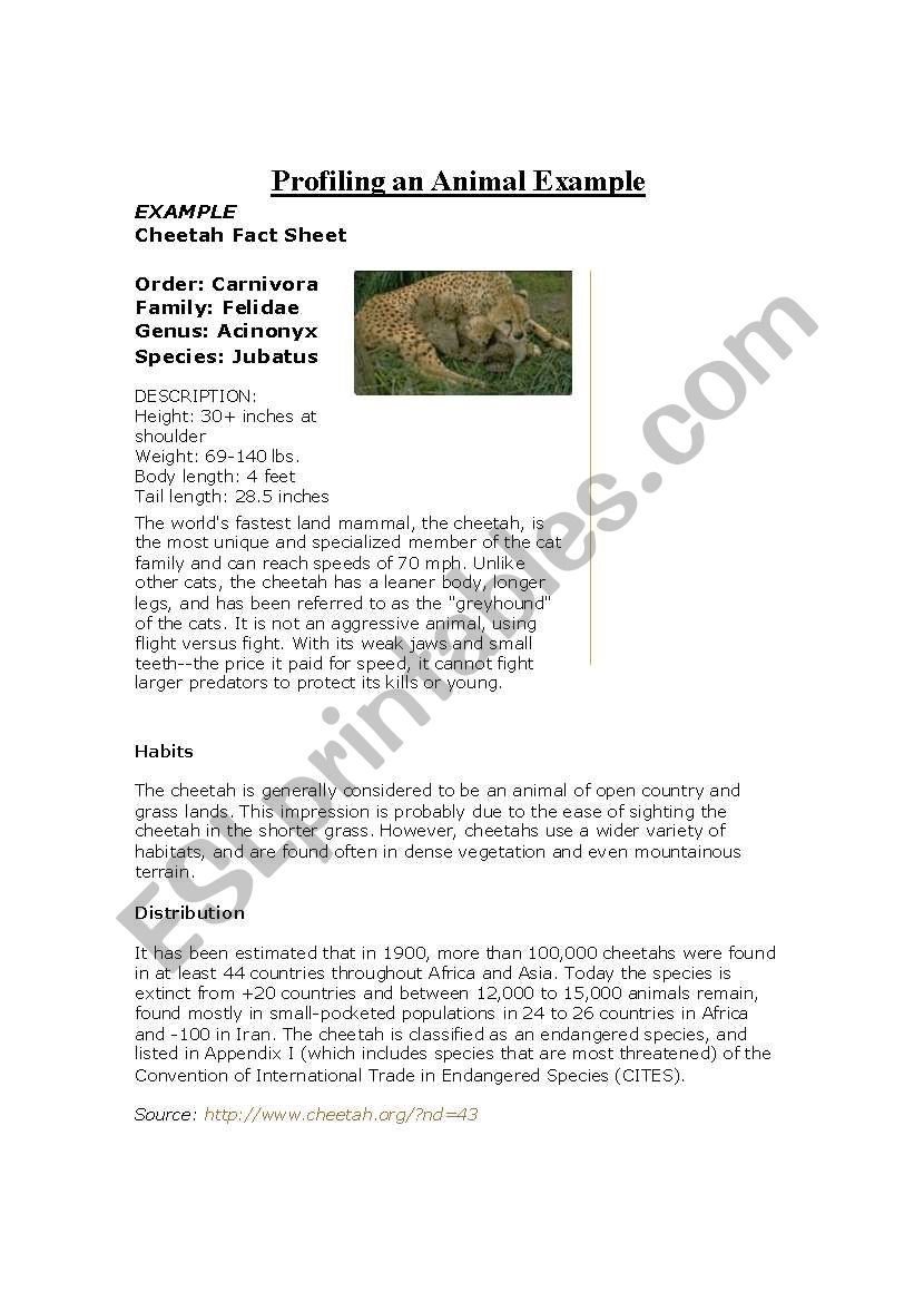 Animal Profile worksheet