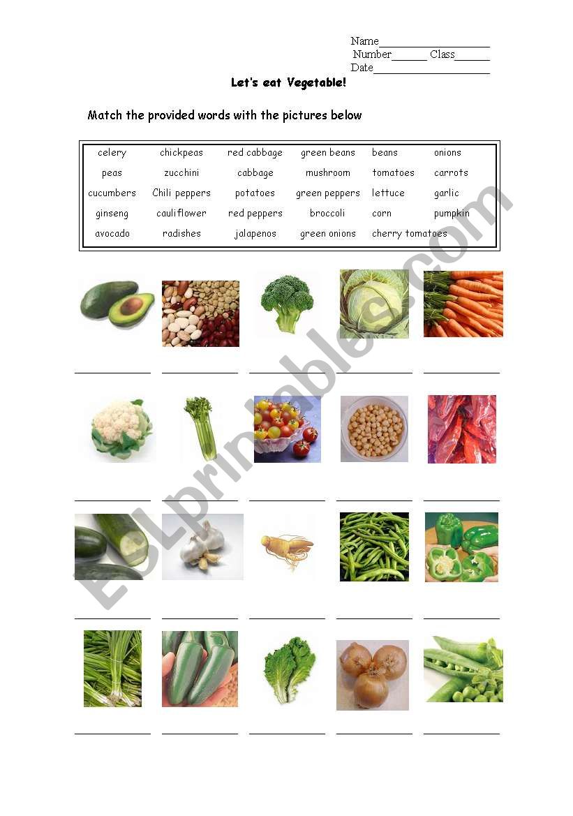 Vegetable worksheet