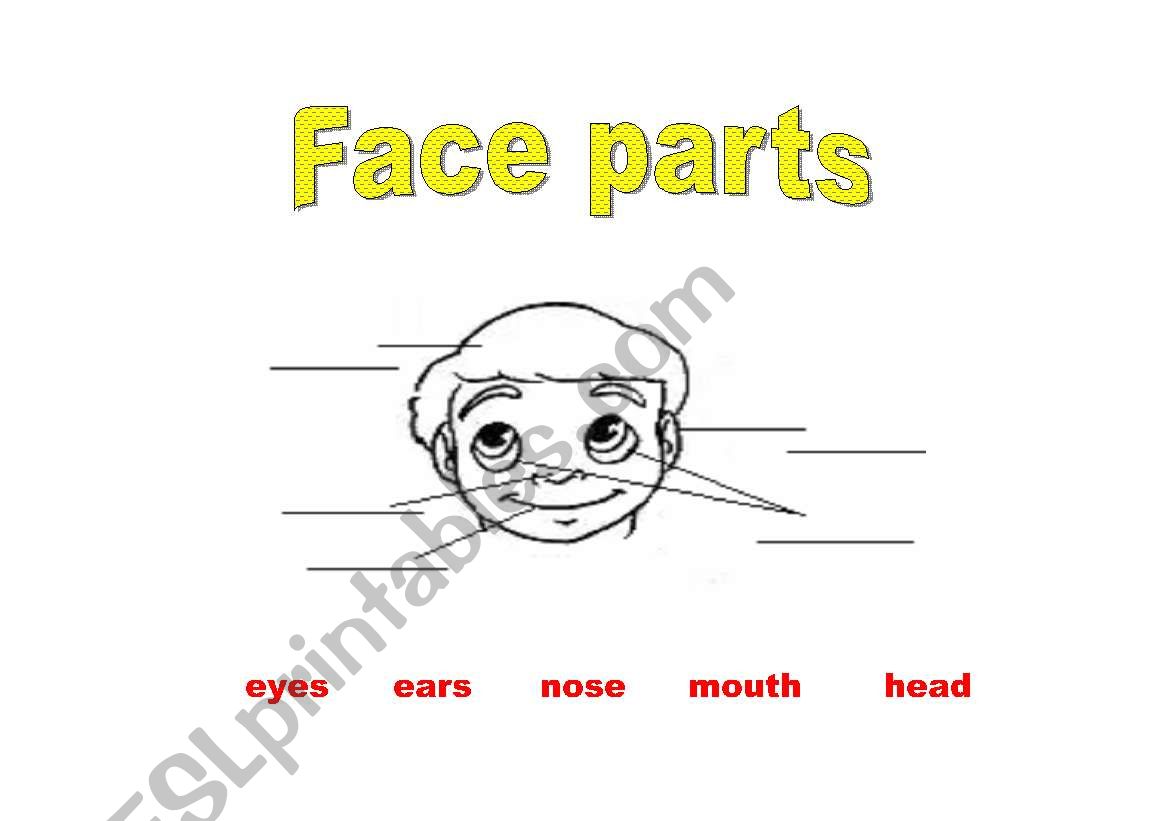 Parts of the face worksheet