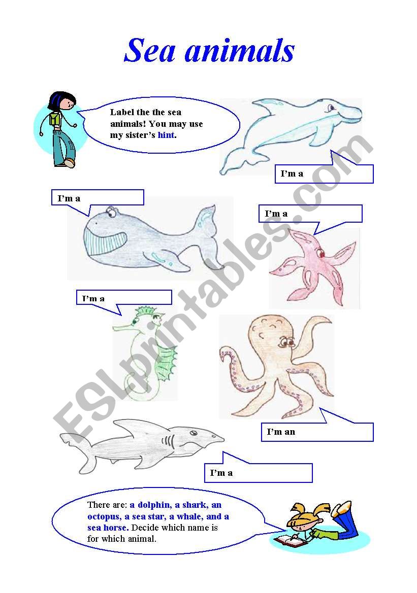 Sea animals worksheet