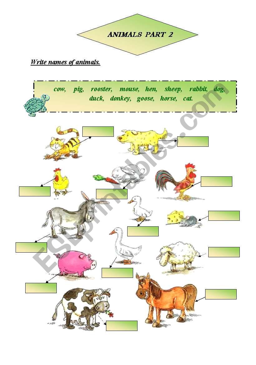 Animals part 2  worksheet