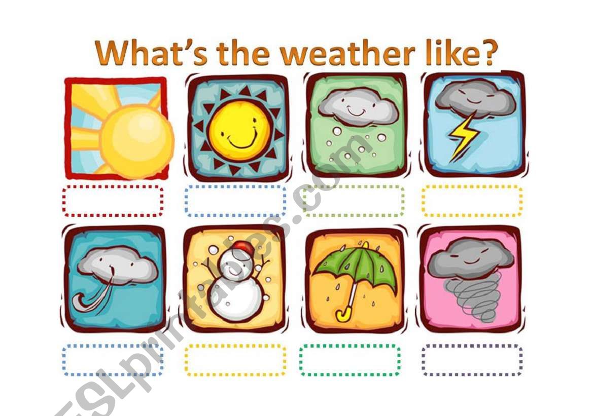 the weather worksheet