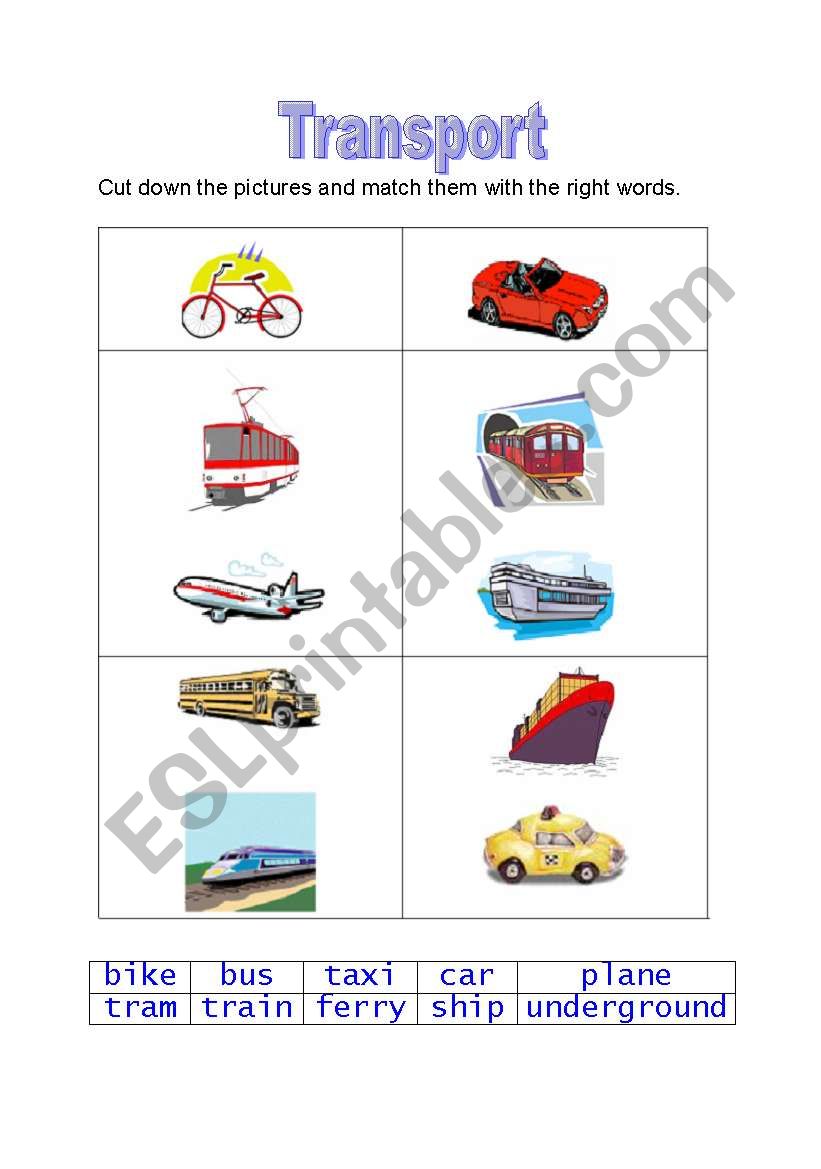 Transport worksheet