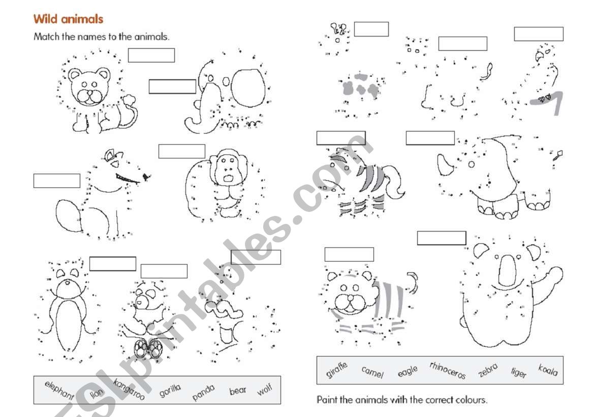 Wild animals worksheet